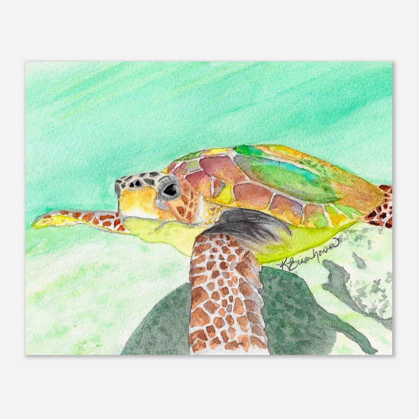 02d65755-8123-493b-b4b6-15f0ec60a6d0