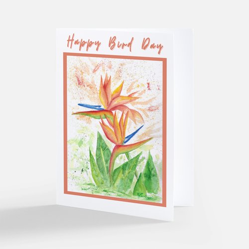 Greeting Cards