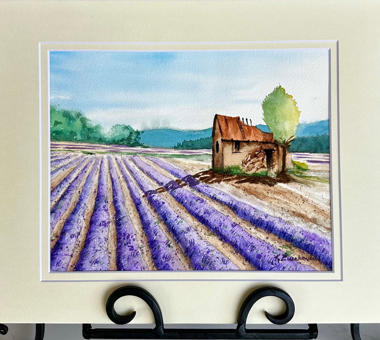 Lavender Fields Forever