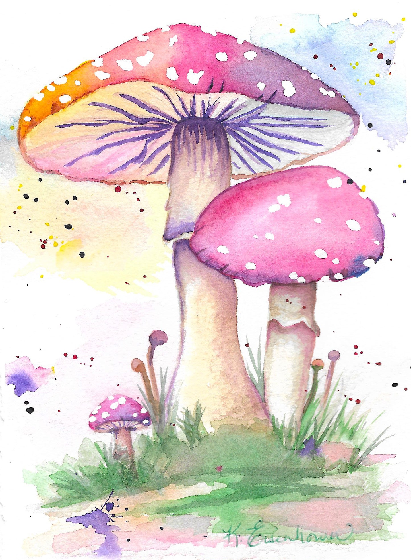 Mushroom Magic