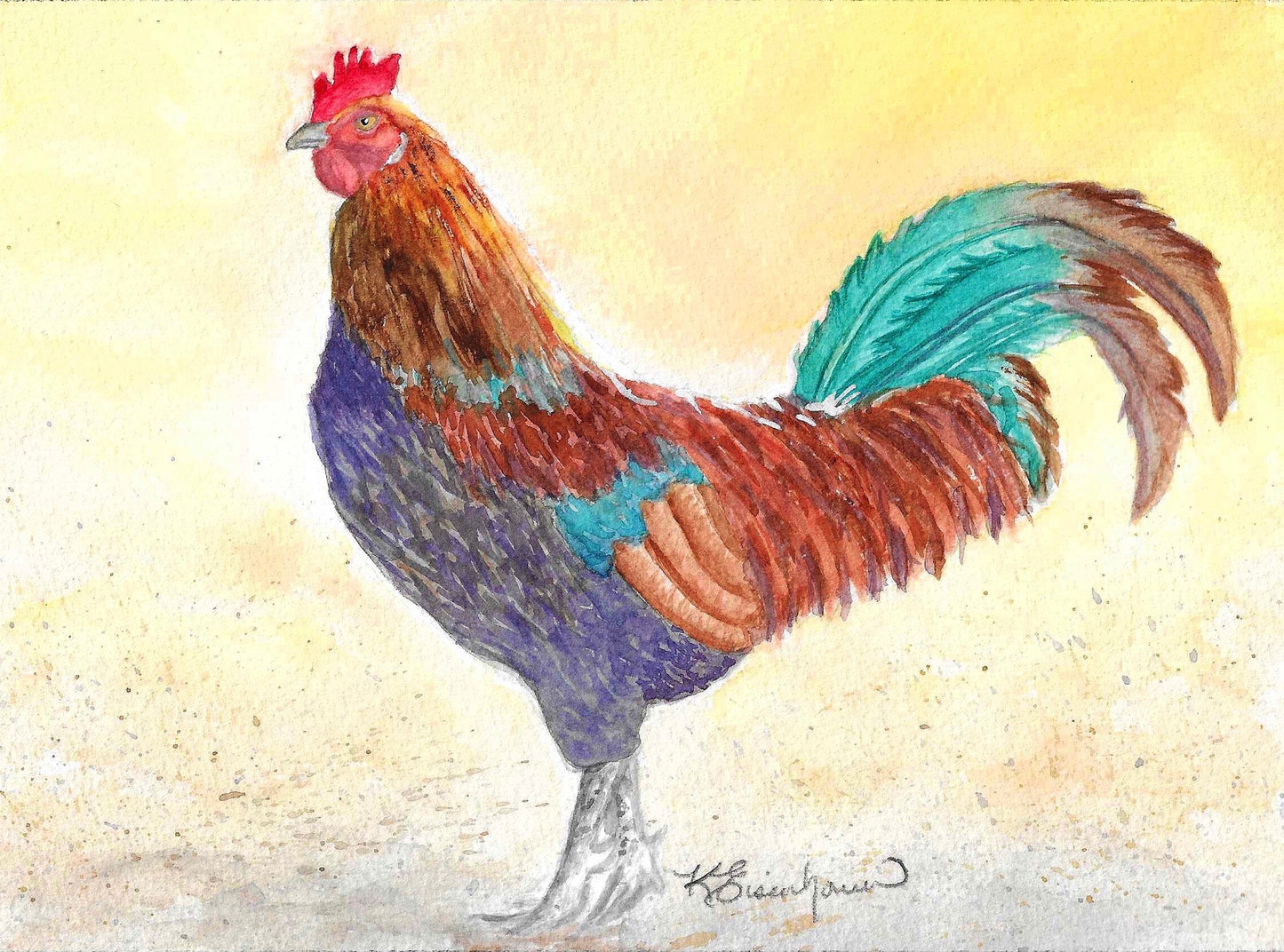 Rooster