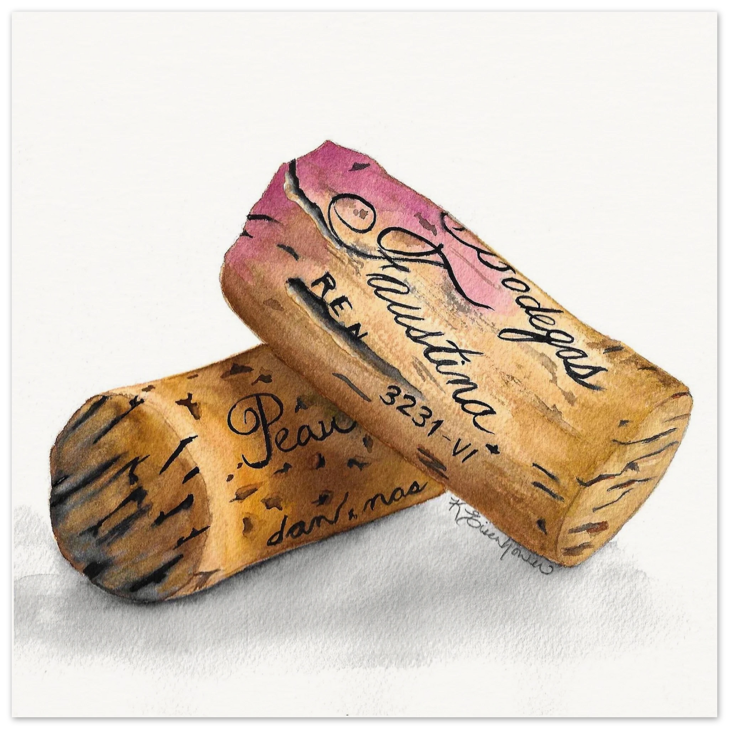 ce8f4f35-53ec-46d7-9778-df52ca589e3e