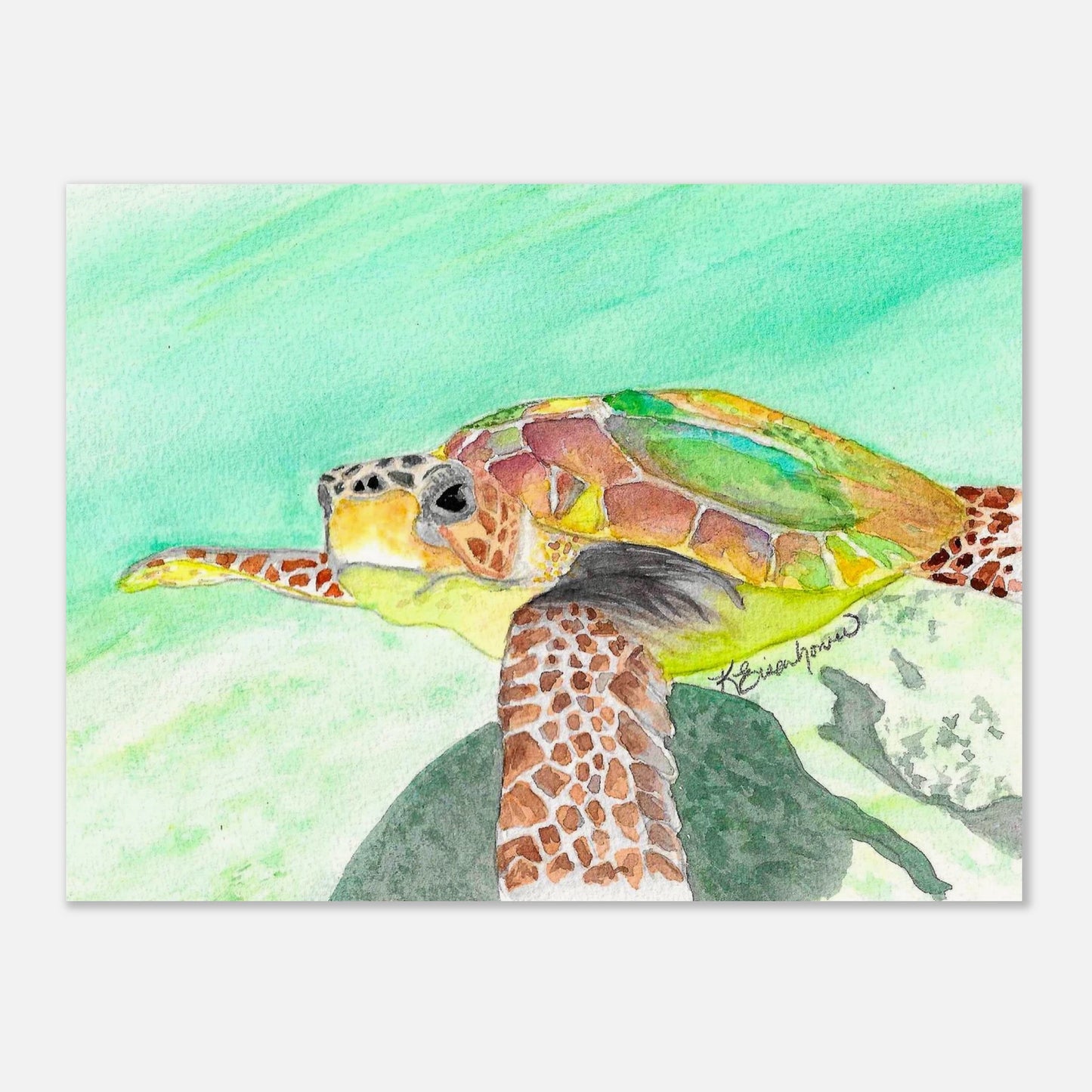 d8c900b5-838c-41b9-97b6-0f193fbe45f0