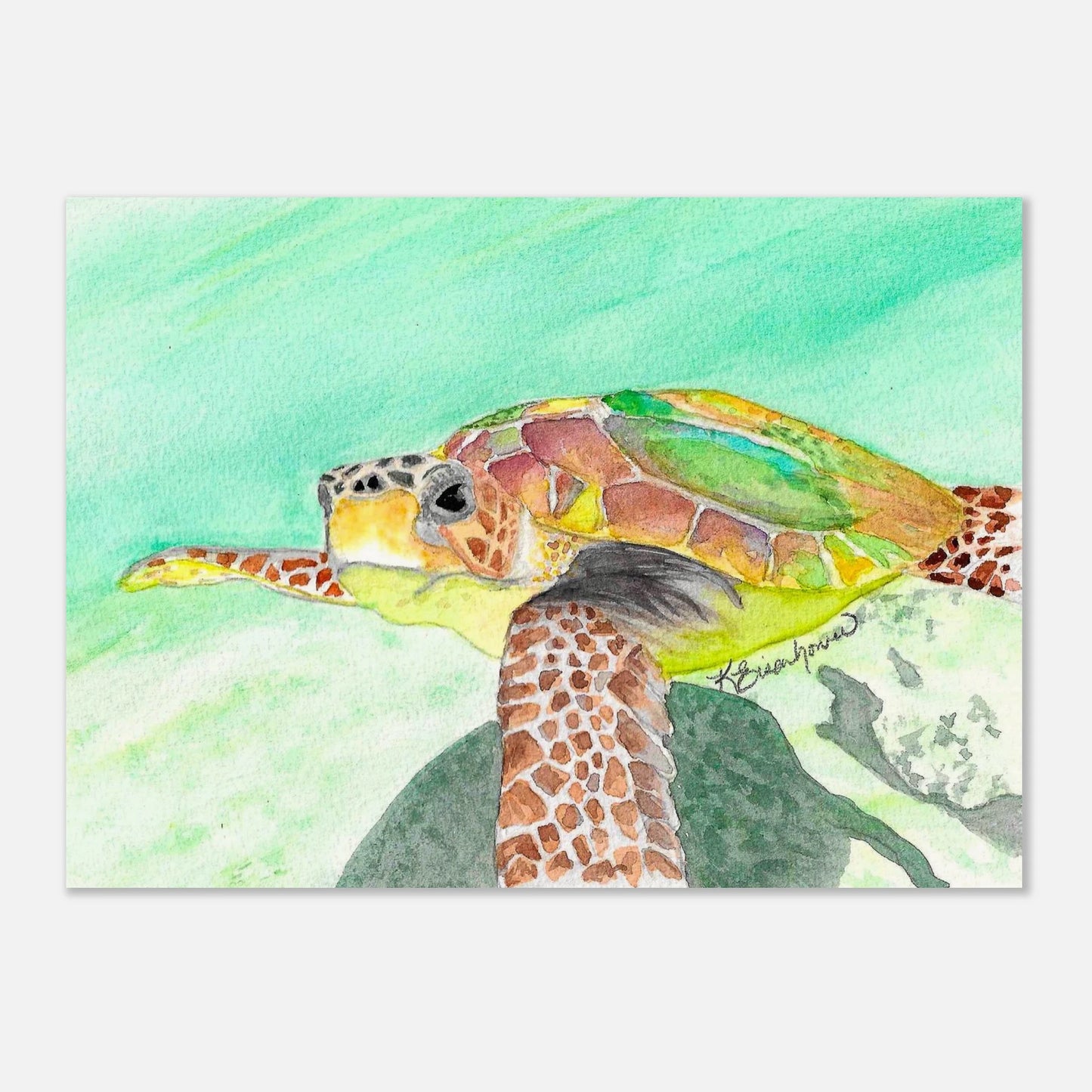 e5cf9bfc-8ef3-43f9-8c49-8bfe0a6258cb