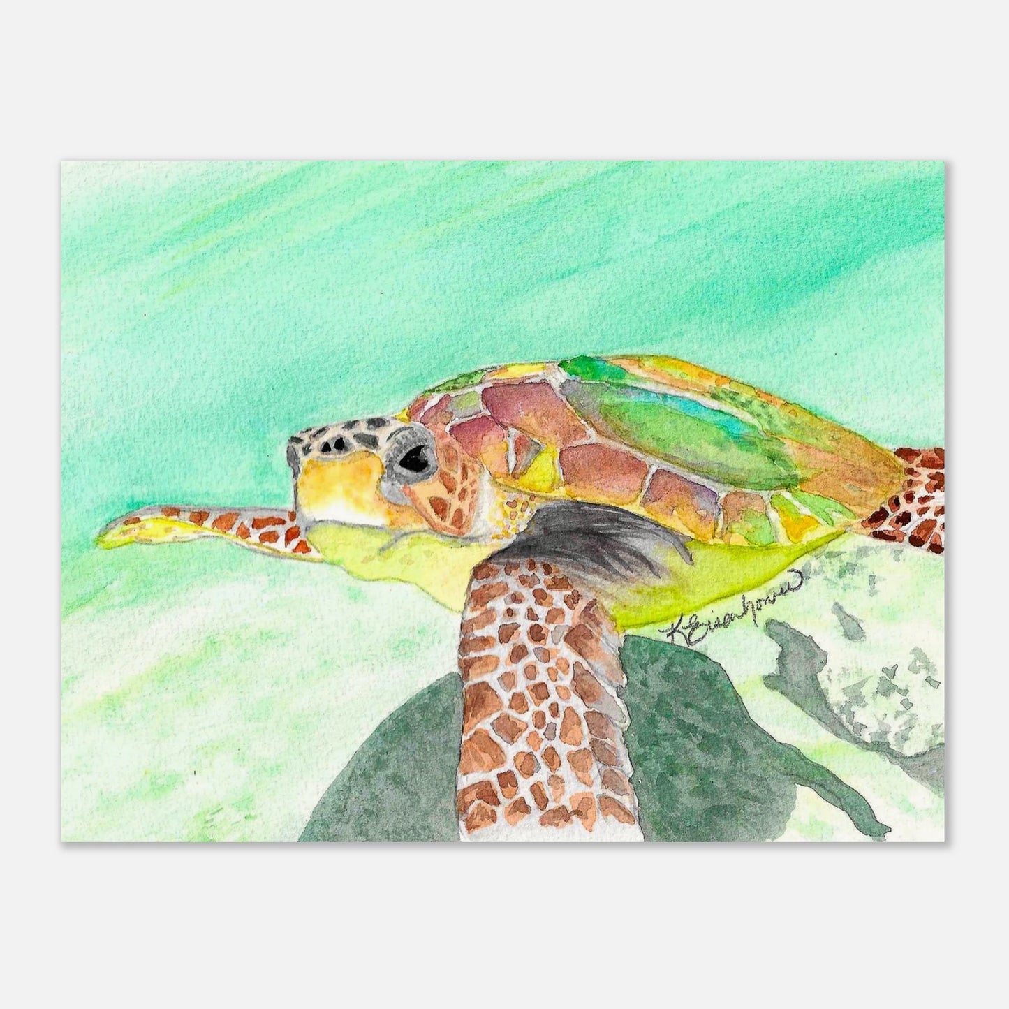 f0572874-786d-4955-9ab9-081ff82388f3